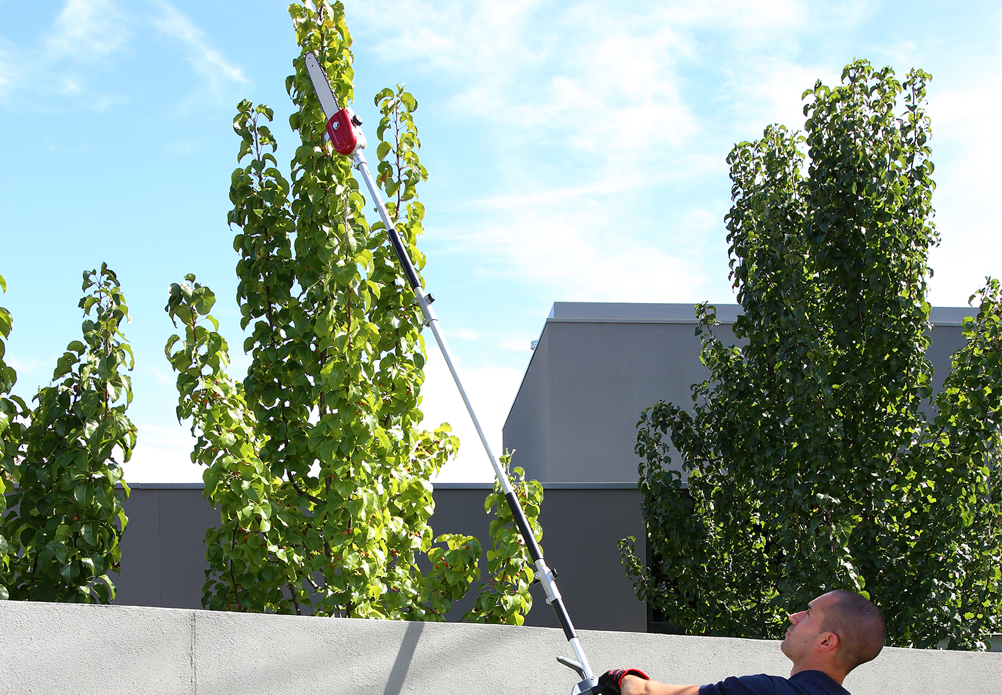 Honda Versatool 35cc - Image 5